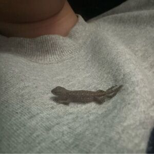 Meet your Posher, Kali